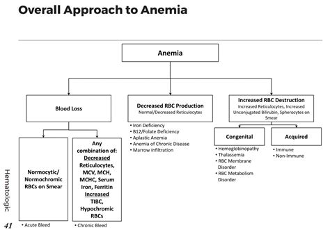 fever and anemia differential diagnosis